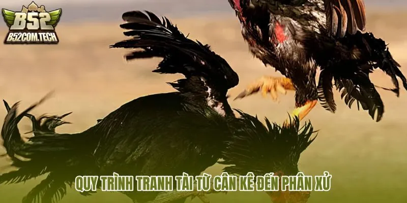 quy-trinh-tranh-tai-tu-can-ke-den-phan-xu quy-trinh-tranh-tai-tu-can-ke-den-phan-xu